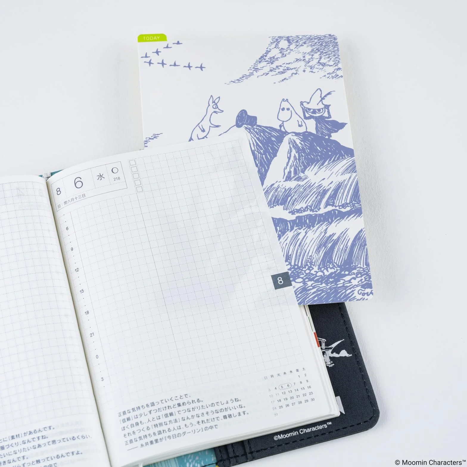 Hobonichi Techo akcesoria – Muminek: Hobonichi deska do ołówków na format A6 (Tajemniczy Kapelusz)