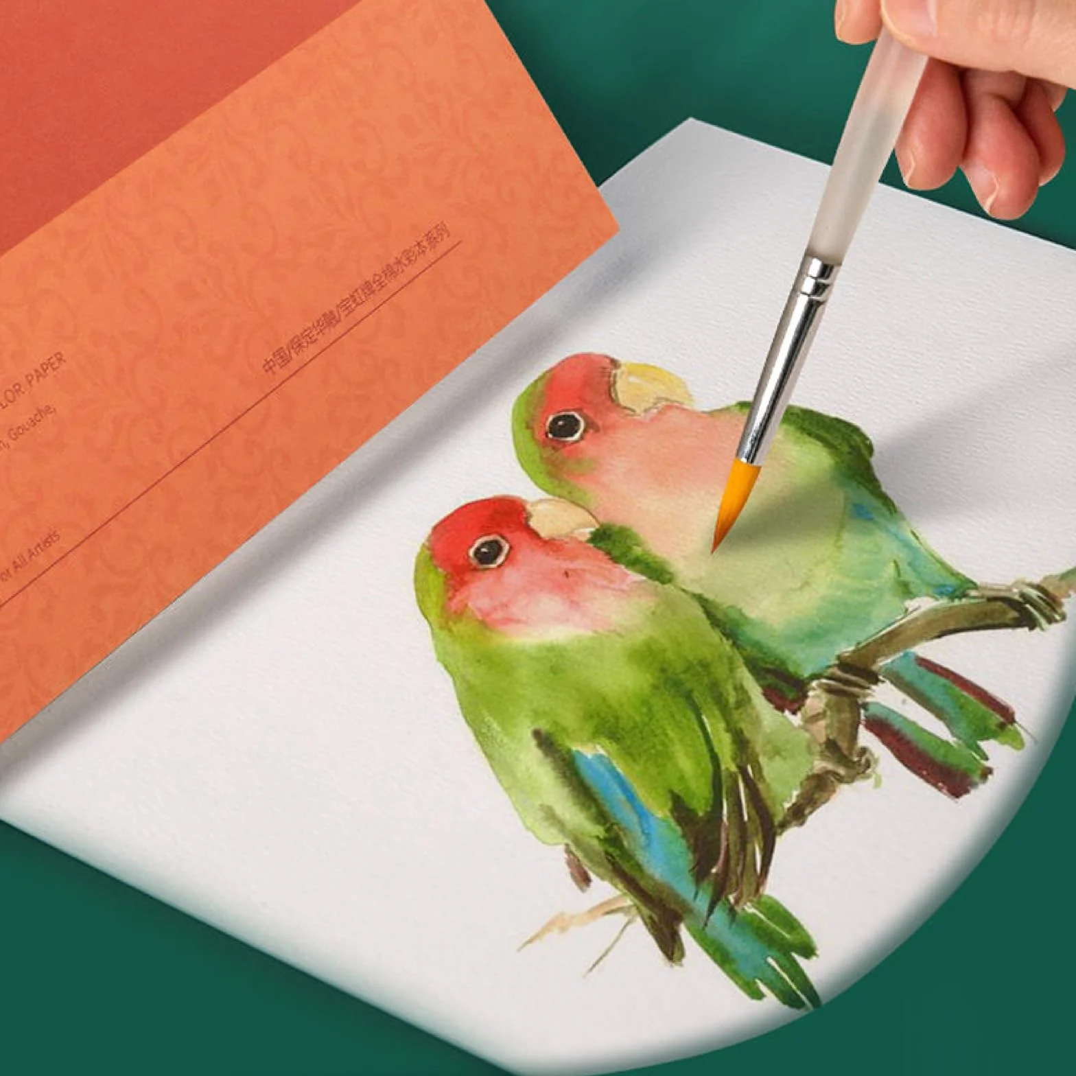 MEEDEN Bawełniany papier akwarelowy 25 x 18 cm, teksturowana powierzchnia, prasa na zimno, 63,5 kg/300 g/m², 20 arkuszy do malowania i rysowania, na mokro, różne media